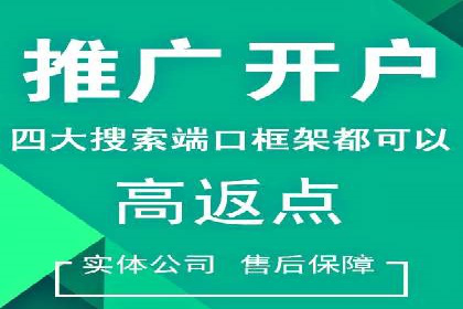 谷歌竞价广告与SEO结合的营销案例解析